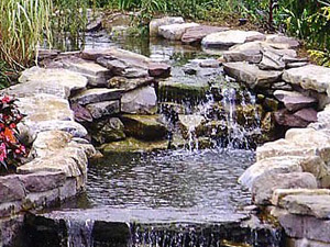 water-gardens