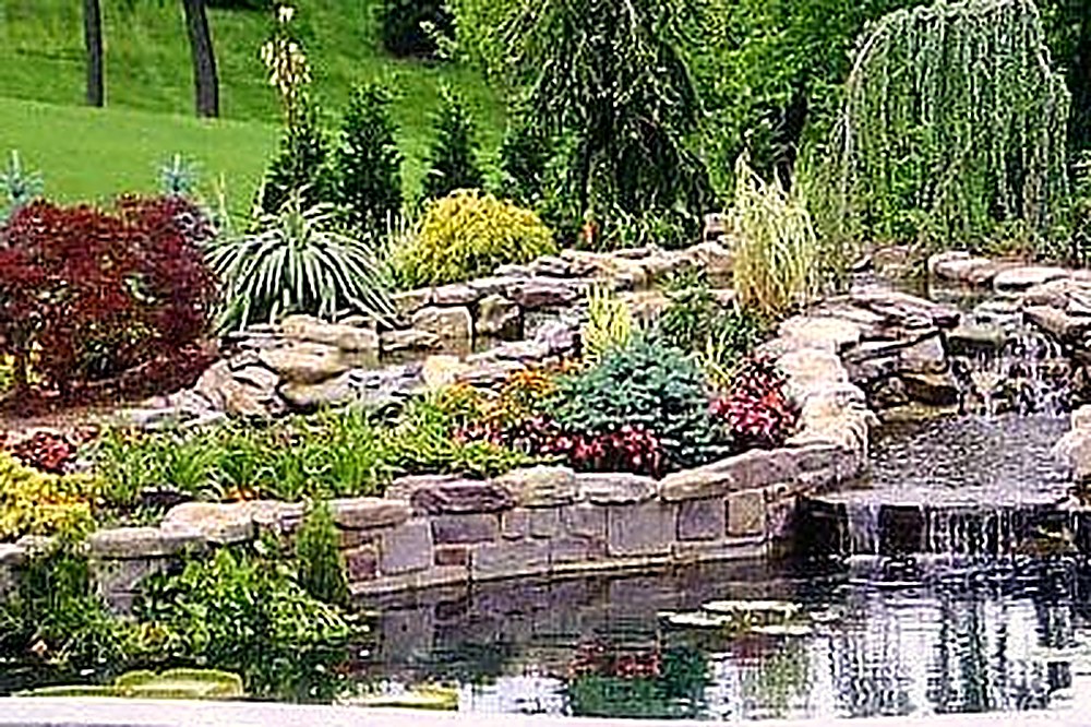 Natural stone water garden with a waterfall and layered perennial plantings by Moss Landscaping